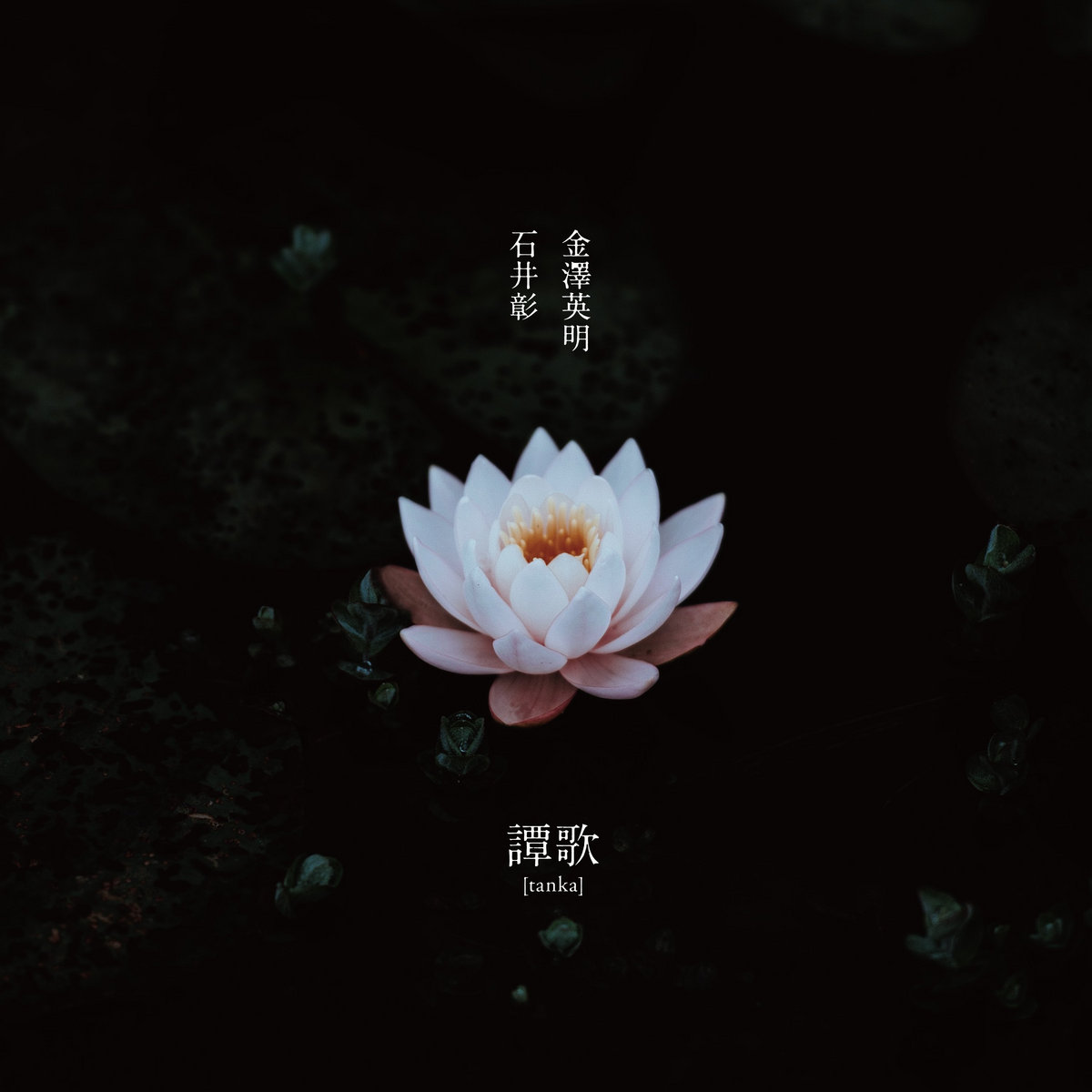 杉�CD�W���P�b�g�摜